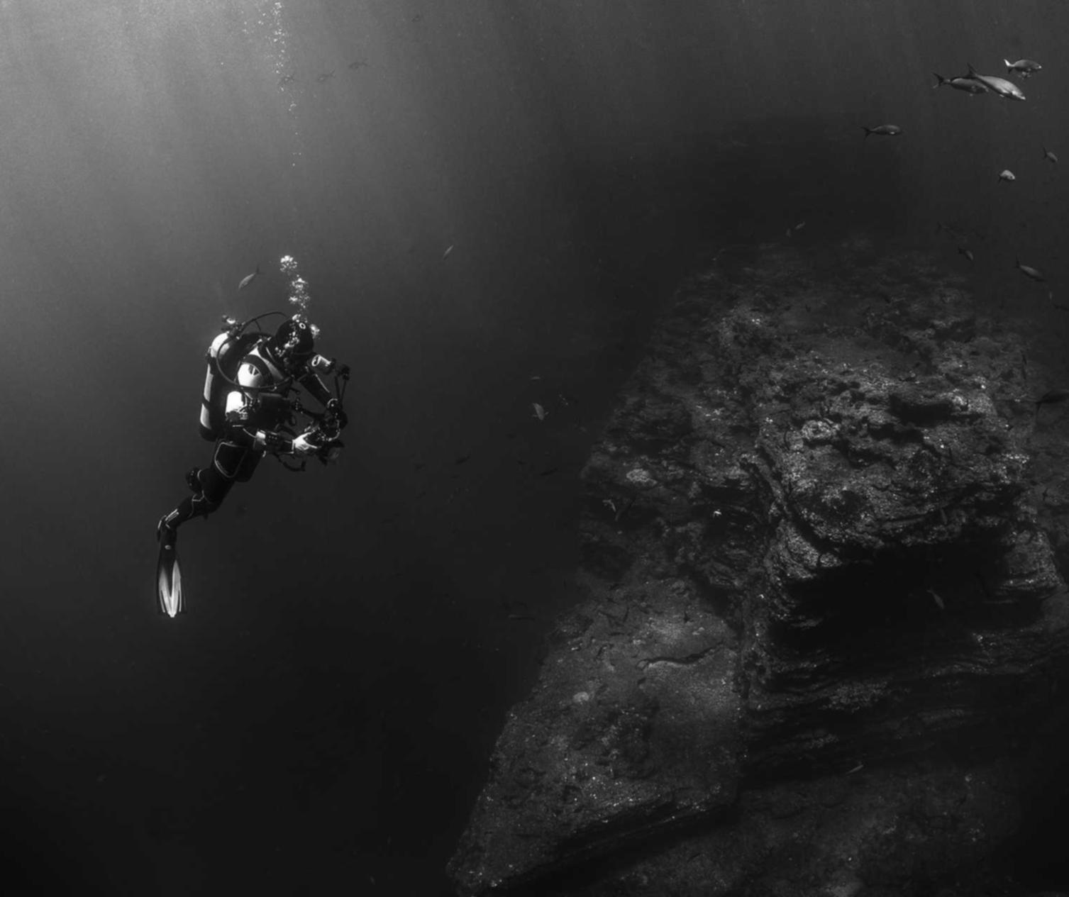 永乐国际，注册|协同的营销业绩究竟有多大的提升？