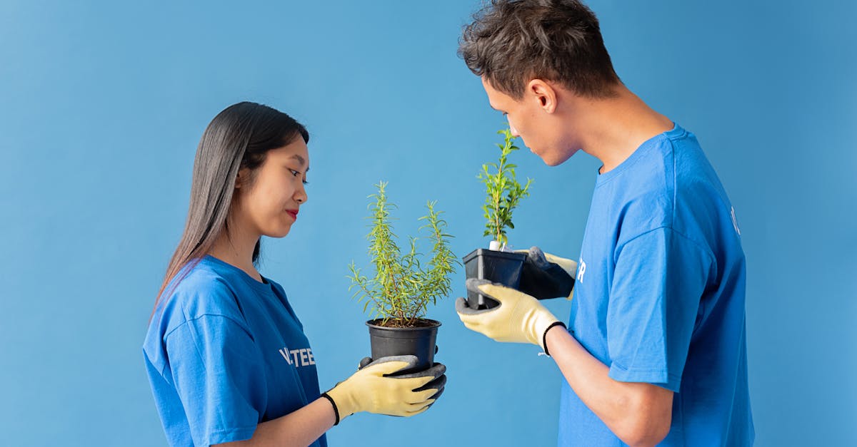 多利台州工商注册代理需要多久