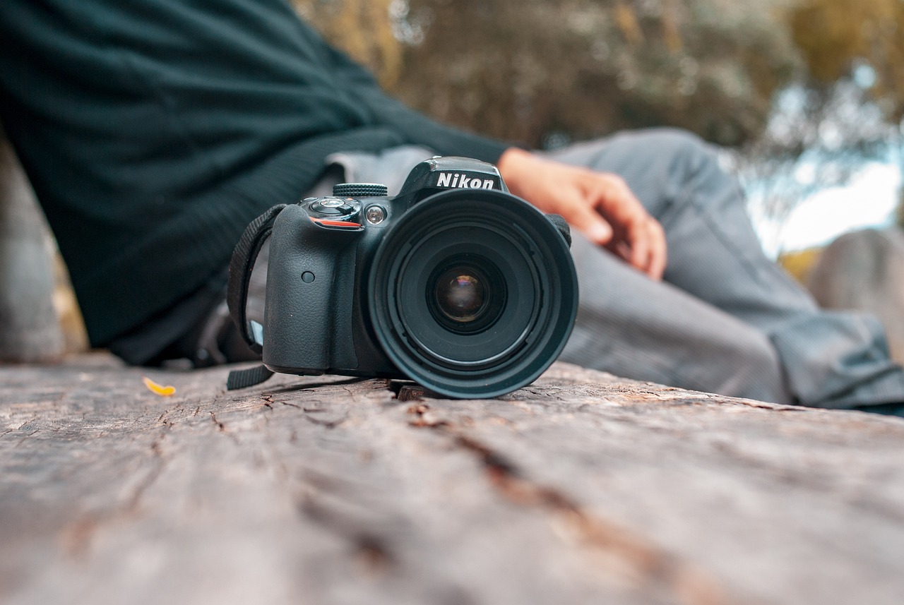 疯狂原始人2：重启app详情下载教程2021