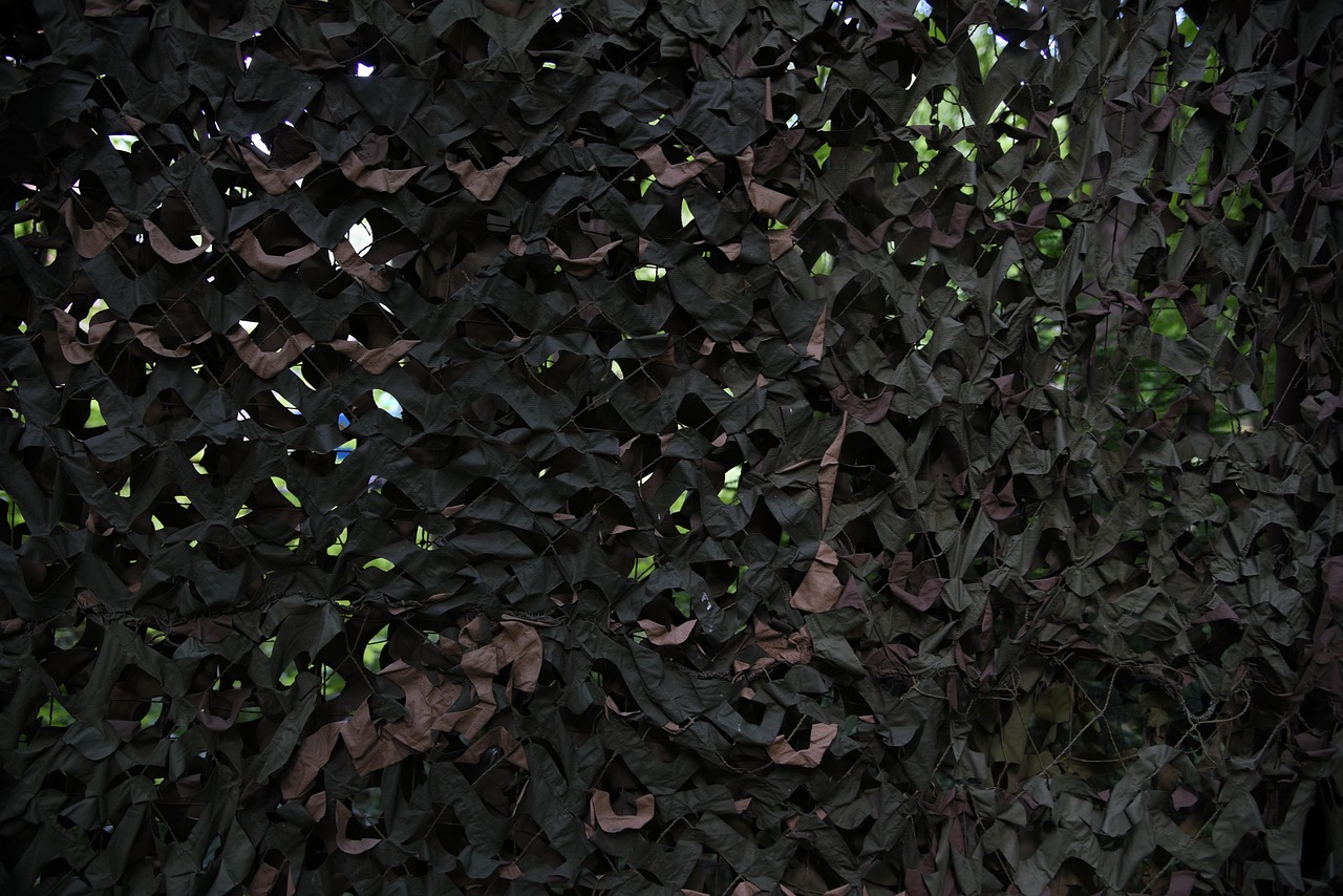 欧盟寿百年(彩寿):掌上轻办公怎么注册账号